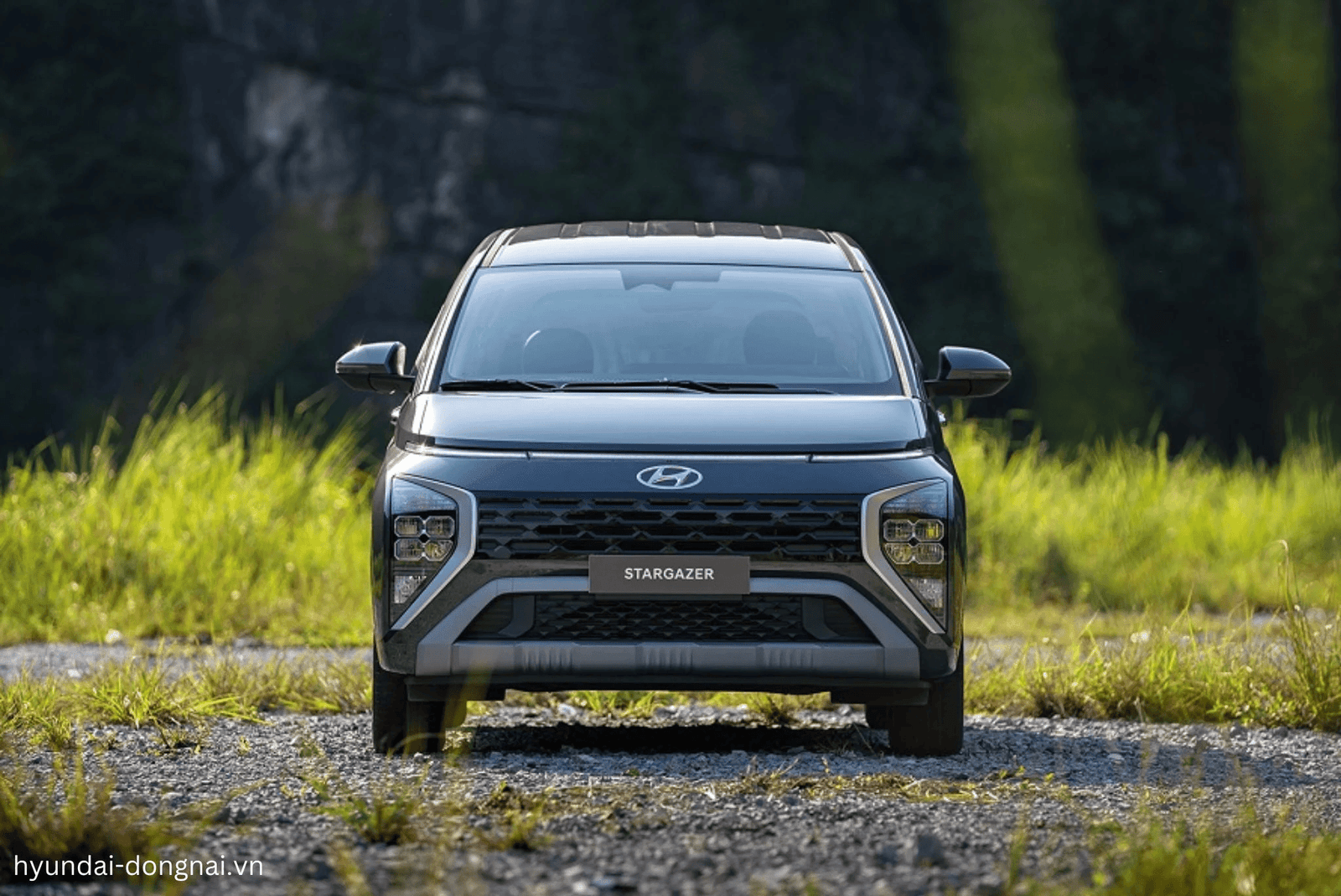 Hyundai Stargazer